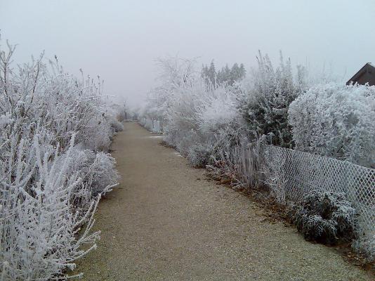 Winterschauspiel2