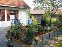 Pflanzenbasar in der Kleingartenanlage