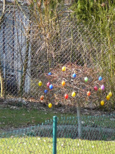 Ein kleiner Osterstrauch