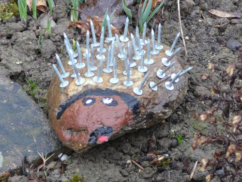 Neue Mitbewohner im Garten