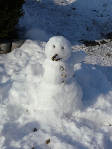 Der Gartenbewacher