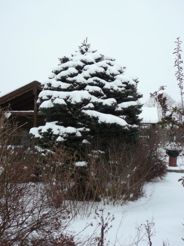 Wintermärchen